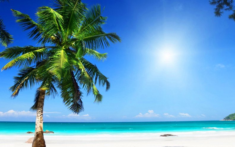 paradise_sunny_beach.jpg