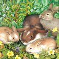 Spring Rabbits