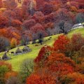 Autumn in Romania