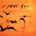 I feel free.....