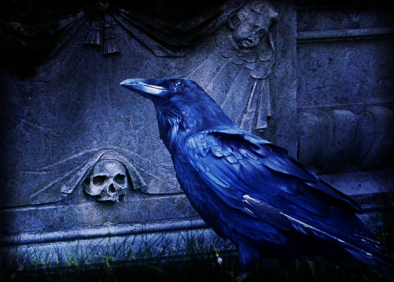 Dark Cemetery Raven!