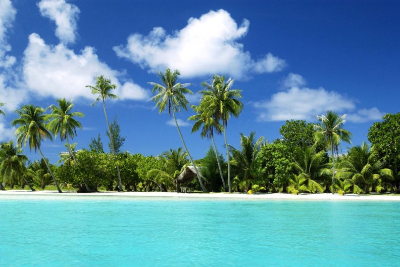 tropical_beach_paradise.jpg