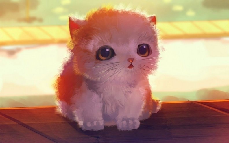 cute_cat.jpg