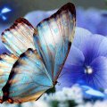 JUST WHEN THE CATERPILLAR THOUGHT IT'S LIFE WAS OVER IT BECAME A BEAUTIFUL BUTTERFLY