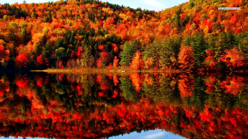 Beautiful Autumn Lake Reflection