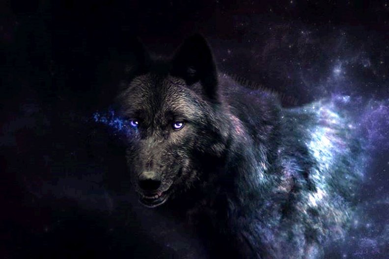 the_majestic_wolf.jpg