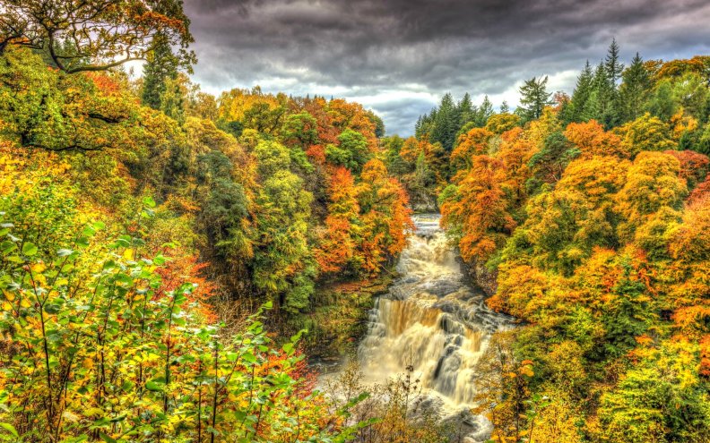 autumn_forest_waterfall.jpg
