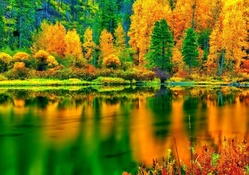 Colorful Autumn Reflections