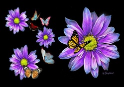 Purple Flowers &amp; Butterflies