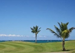 Golf Course on Beach
