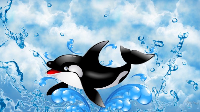 Orca Splash