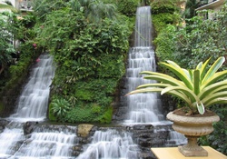 Backyard Waterfalls