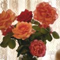 Rose Bouquet F