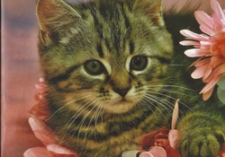 A tabby kitten with flowers