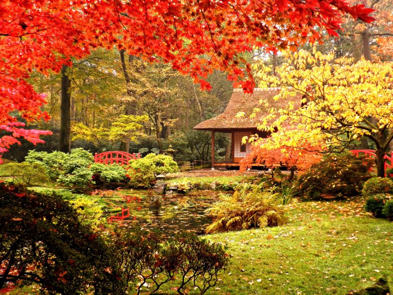 japanese_garden_in_autumn.jpg