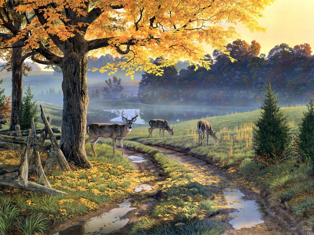 Deers on Autumn Day