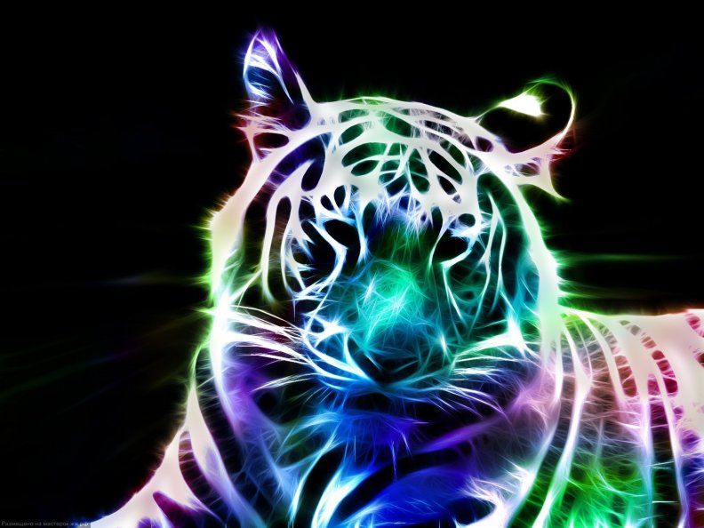 Fractal tiger Download HD Wallpapers and Free Images