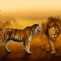 TIGER & LION