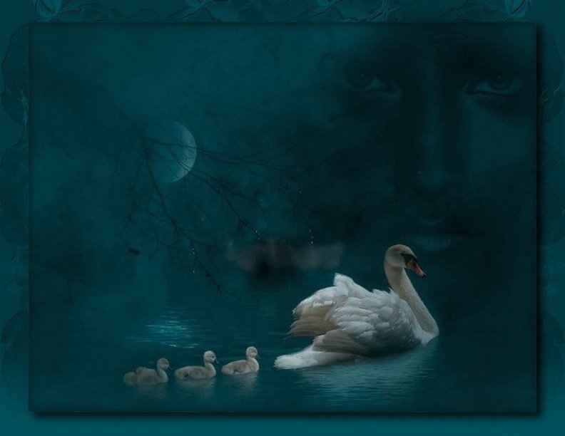 a_swans_night.jpg