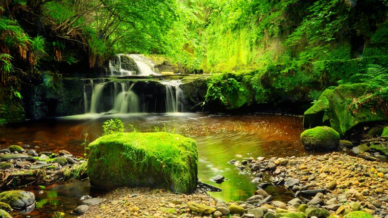 waterfall_in_green_forest.jpg