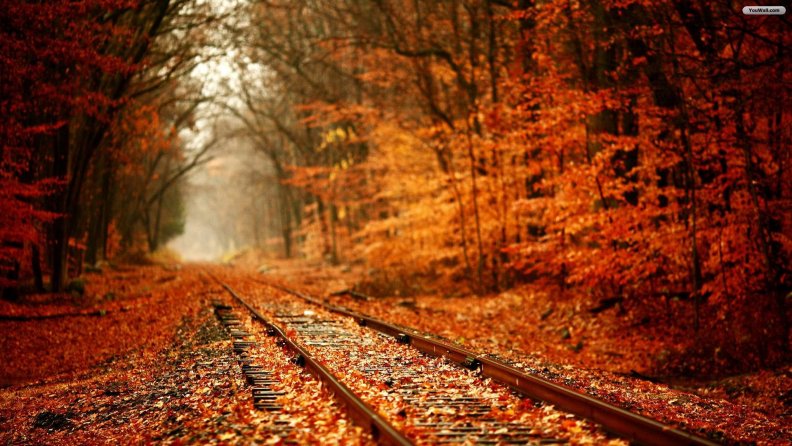 autumn_railroad.jpg