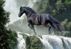 black horse &amp; waterfall