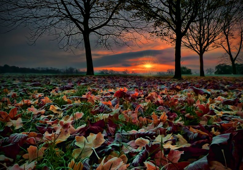 autumn_sunset.jpg