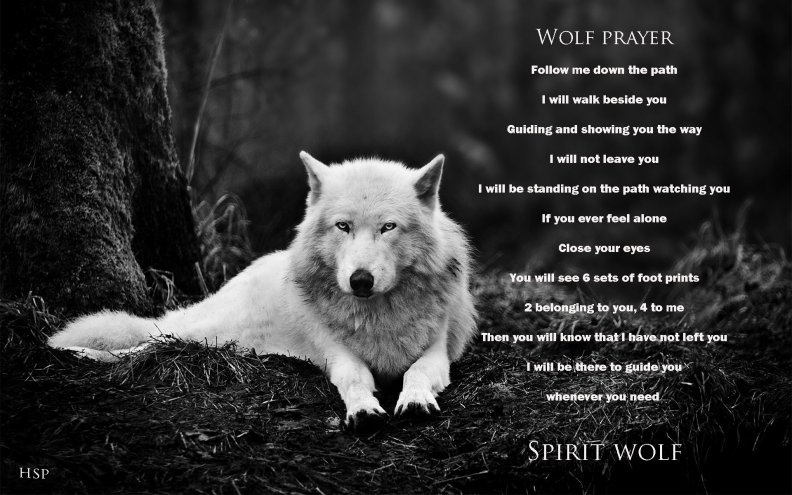 wolf_prayer.jpg