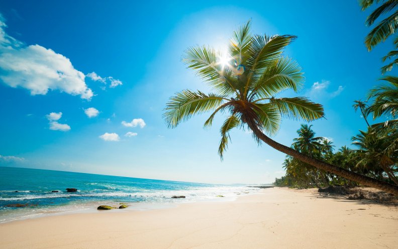 beautiful_caribbean_beach.jpg