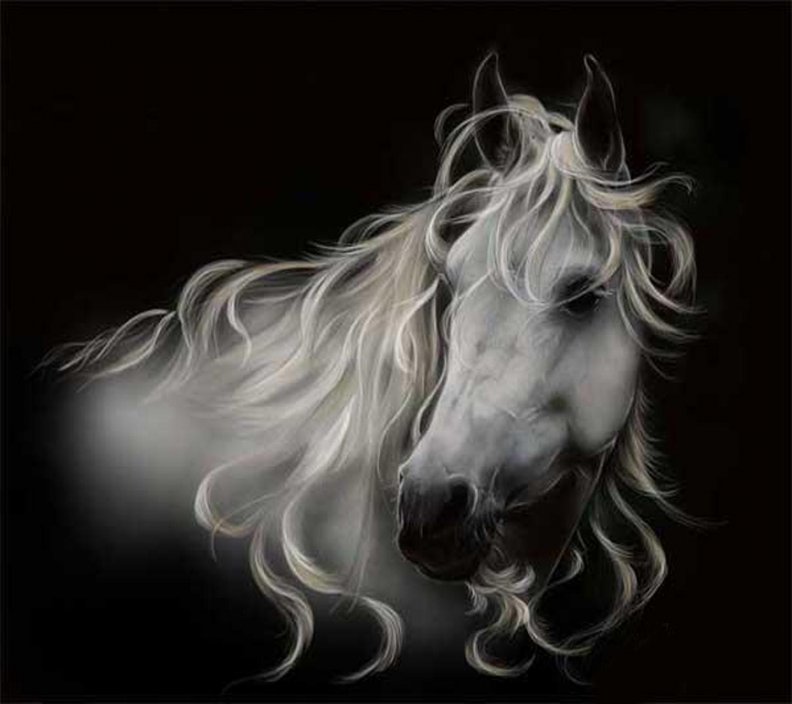 horse_art.jpg