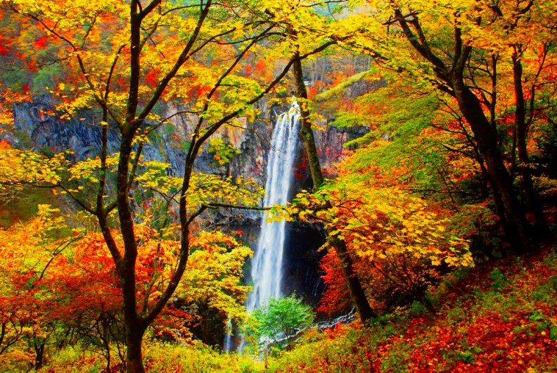 Forest waterfall in autumn Download HD Wallpapers and Free Images