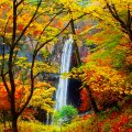 Forest waterfall in autumn