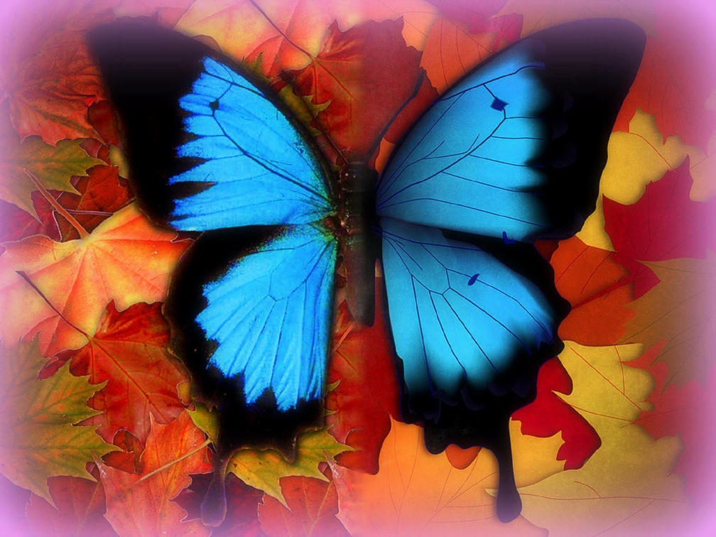 ✫Butterfly Fall on Friday✫