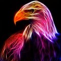 Fractal eagle