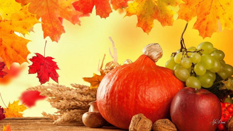 autumn_harvesting.jpg