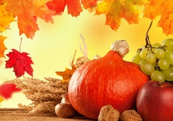 Autumn Harvesting