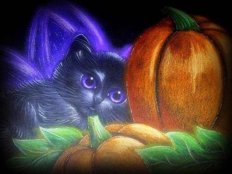 black_kitten_halloween.jpg