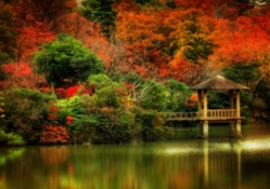 Beautiful Autumn Scenery