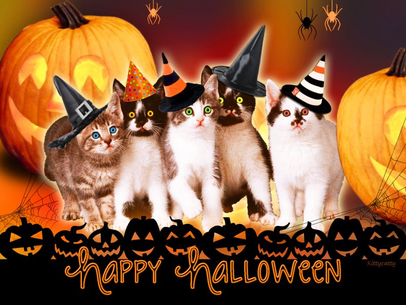 halloween_kittens.jpg