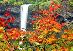 Autumn Forest Waterfall