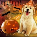 ♥ ☻☻☻ Cute Halloween Puppy ☻☻☻ ♥