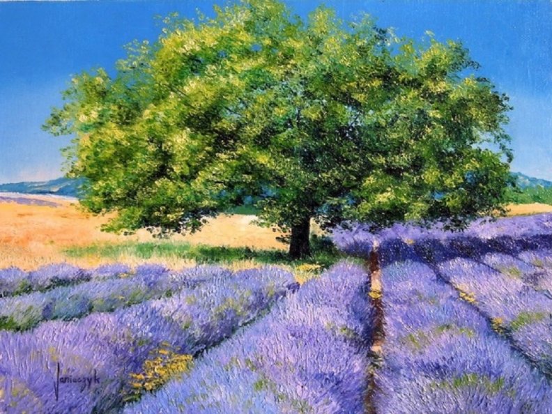 tree_in_lavender_field.jpg