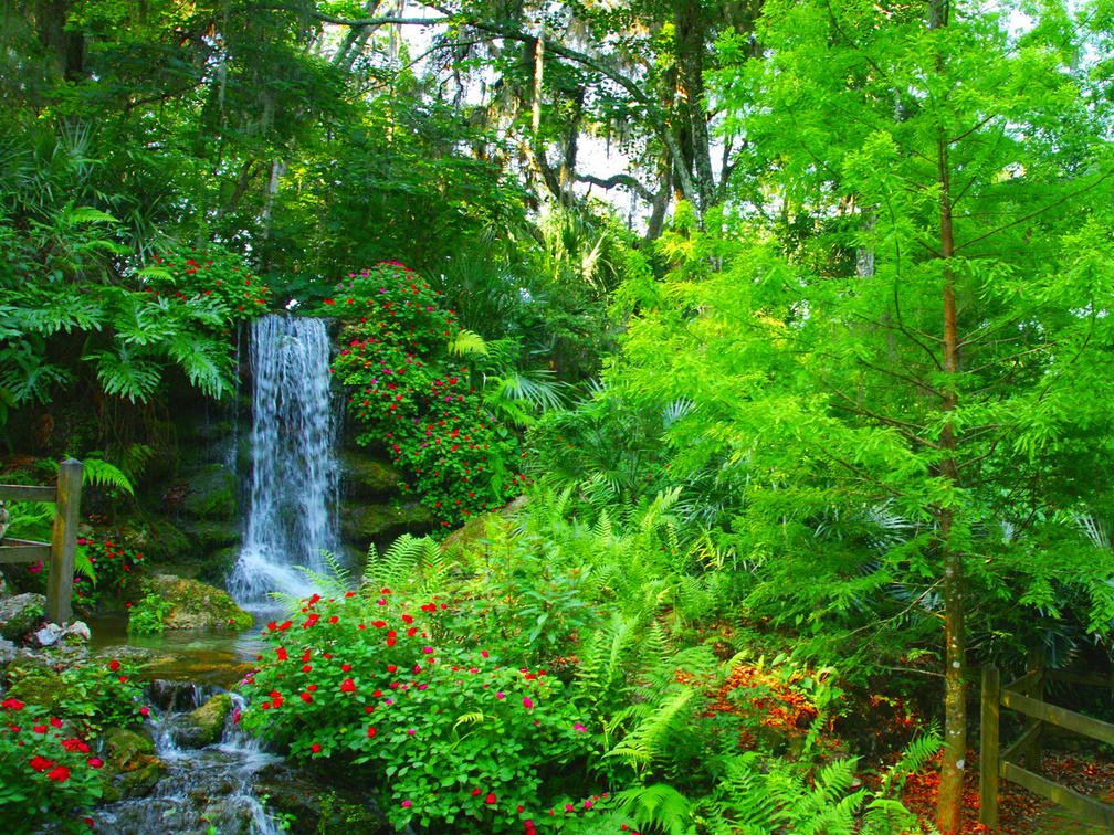 Small garden waterfall