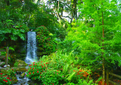 Small garden waterfall