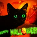 ♥ ☻☻☻ Happy Halloween Cat ☻☻☻ ♥