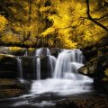 Waterfall in Fall Season
