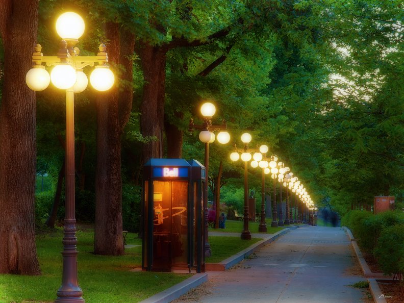 park_alley_in_the_evening.jpg
