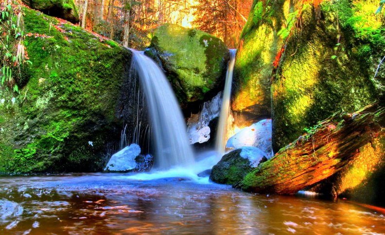 forest_waterfalls.jpg