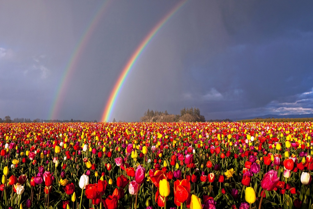 Double Rainbow, Oregon