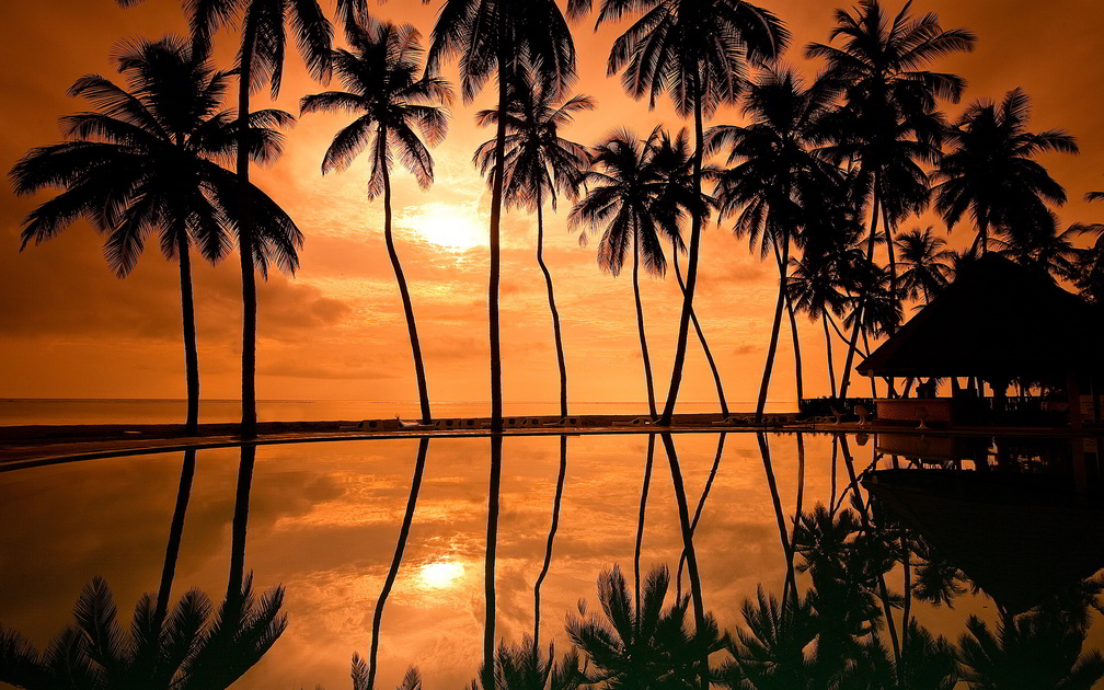 Hawaiian Beach Sunset Reflection